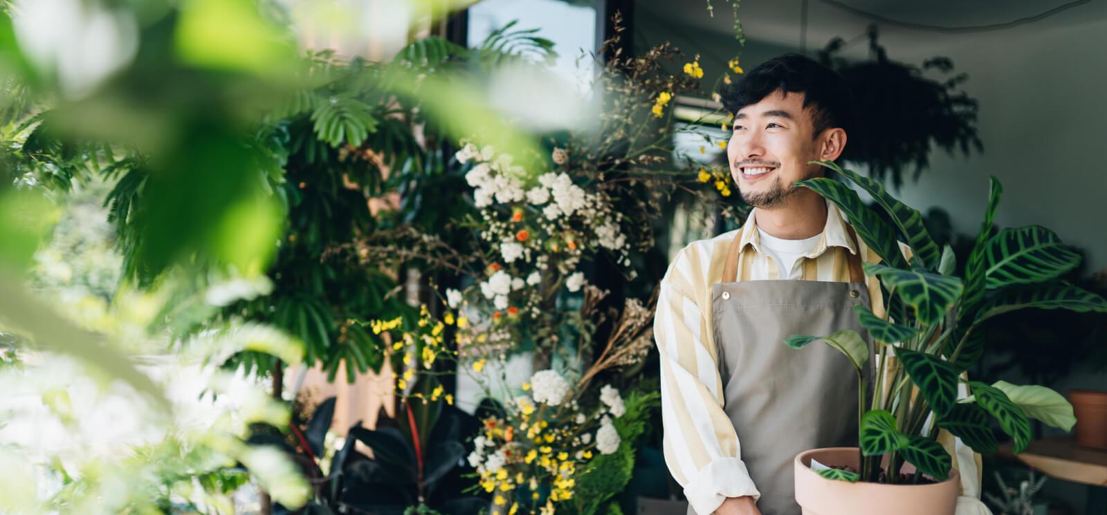 Man in an apron holding a large potted plant surrounded by more house plants.
